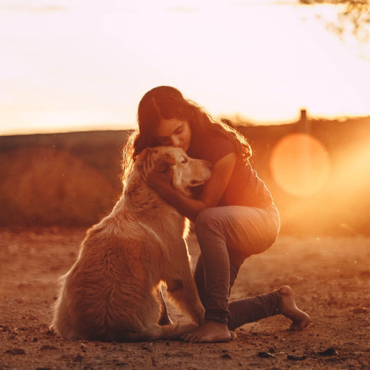 how to be a better dog owner