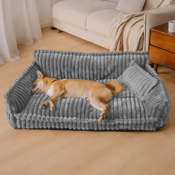 Do you want to give your dog the comfort he deserves?