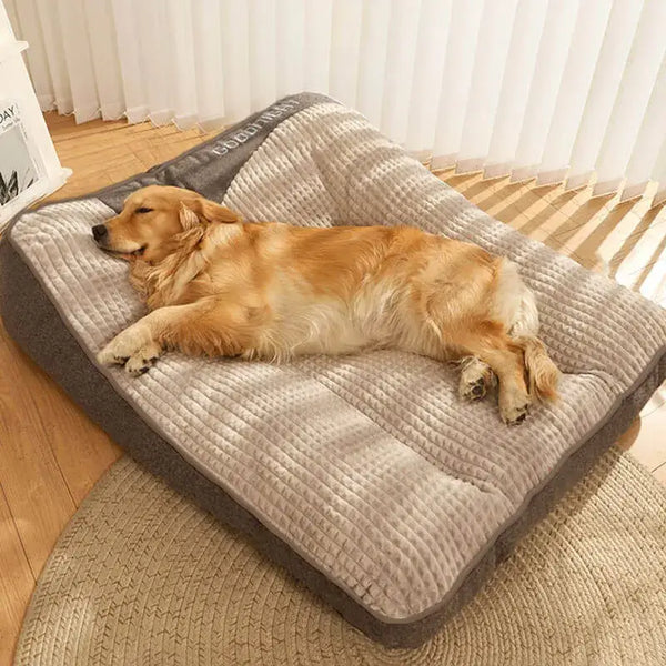 3 Out of 4 Dogs Sleep Wrong