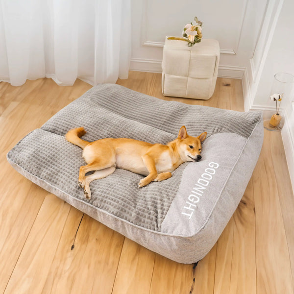 Why Dog Owners Love It: