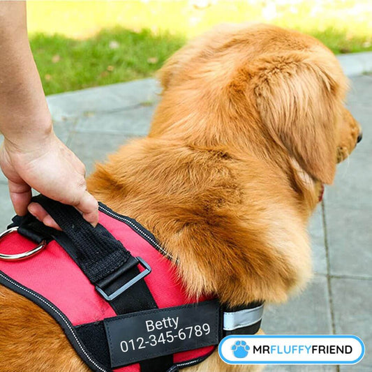 dog-harness