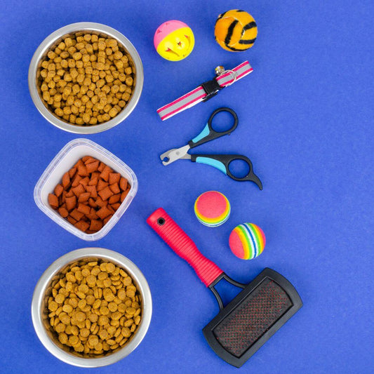 practical dog products