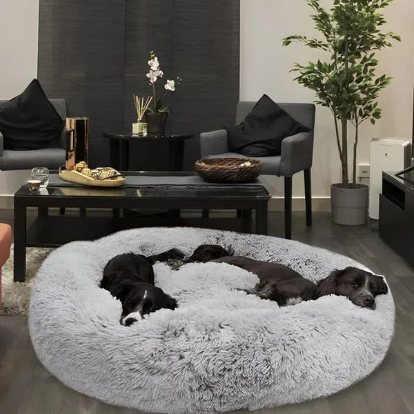 8 reasons why dog owners around the world swear by this dog bed