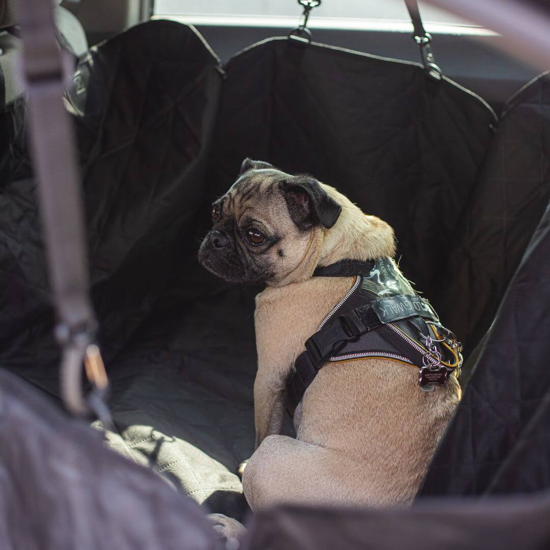 MrFluffyFriend™ - Car Seat Cover for Dogs