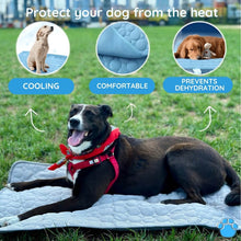 Load image into Gallery viewer, MrFluffyFriend™ - Ultimate Cooling Mat for Pets
