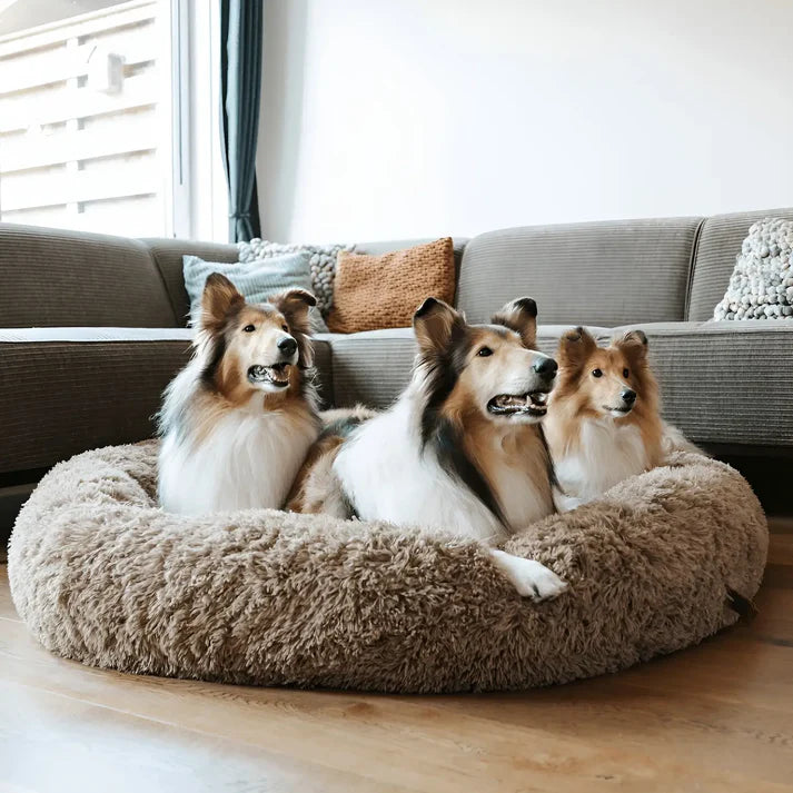 MrFluffyFriend™ - World's #1 Anxiety Relieving Dog Bed (BUNDLE)