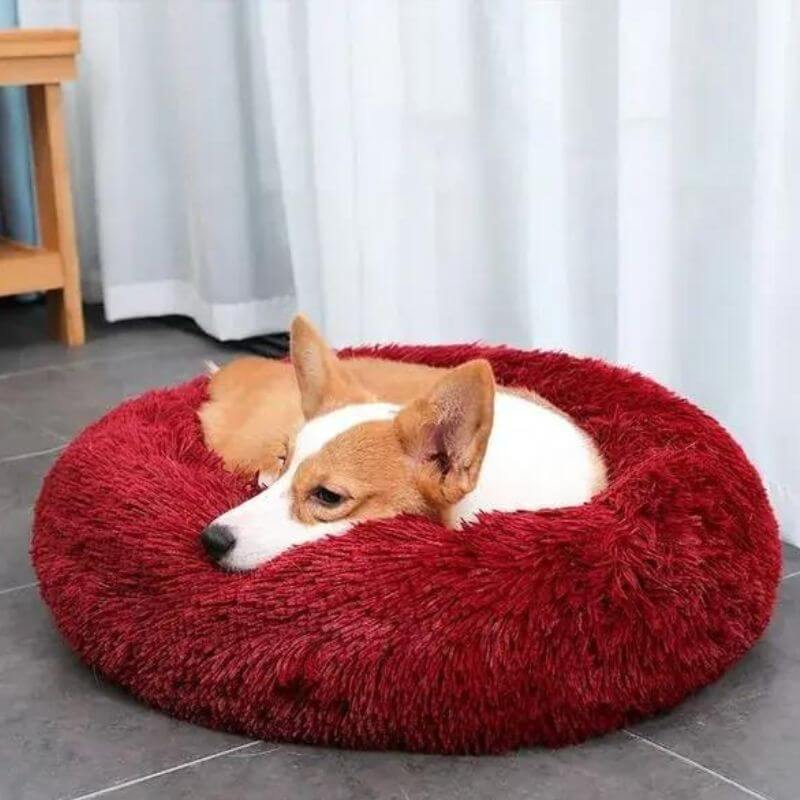 MrFluffyFriend™ - World's #1 Anxiety Relieving Dog Bed