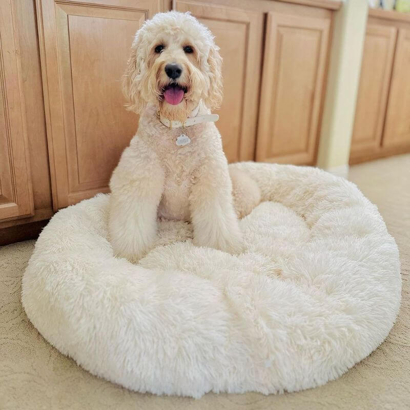 MrFluffyFriend™ - World's #1 Anxiety Relieving Dog Bed