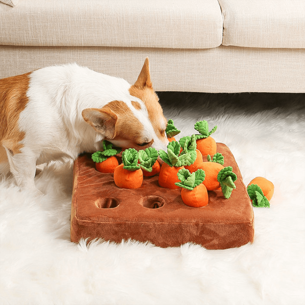 MrFluffyFriend™ - Carrot Snuffle Toy